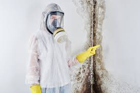 Best Biohazard Mold Removal  in Greenfield, CA